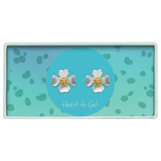 Earstuds bicolor flower
