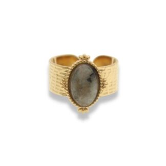Statement Ring - Grote Steen Ring - Statement Ring Adjustable - Grote Statement Ring - Statement Ring Goud