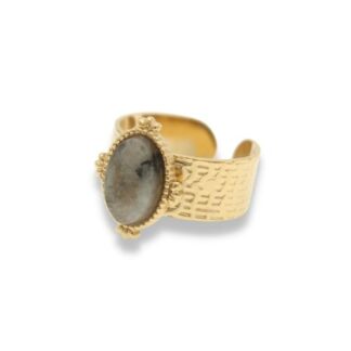 Statement Ring - Grote Steen Ring - Statement Ring Adjustable - Grote Statement Ring - Statement Ring Goud