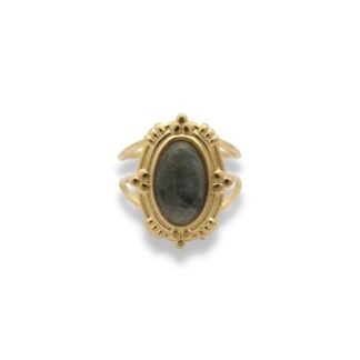 Statement Ring - Grote Steen Ring - Statement Ring Adjustable - Grote Statement Ring - Statement Ring Goud